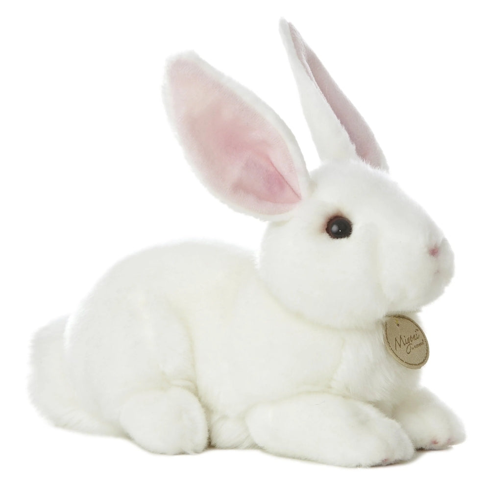 Aurora Miyoni American White Rabbit
