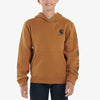 Carhartt Boys Graphic Logo Hoodie (Sizes S-XL)
