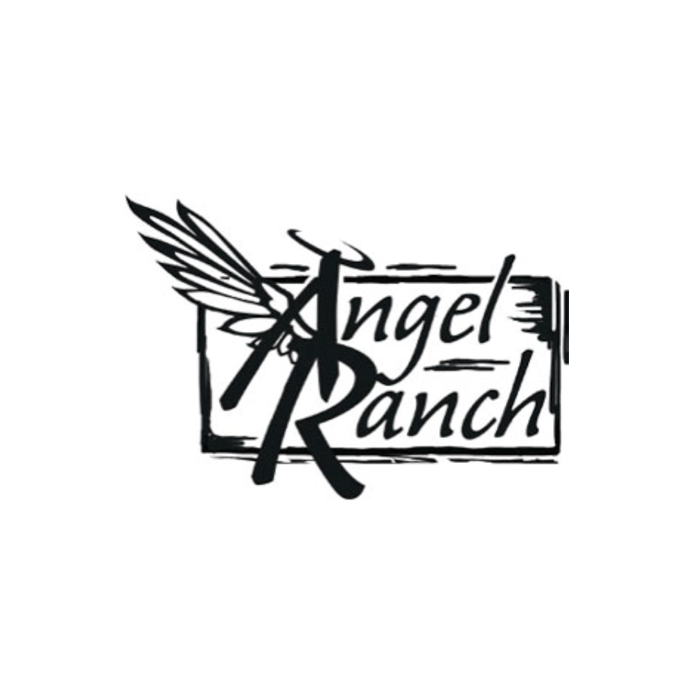 Check Out Our Angel Ranch Western Collection | Shop Now