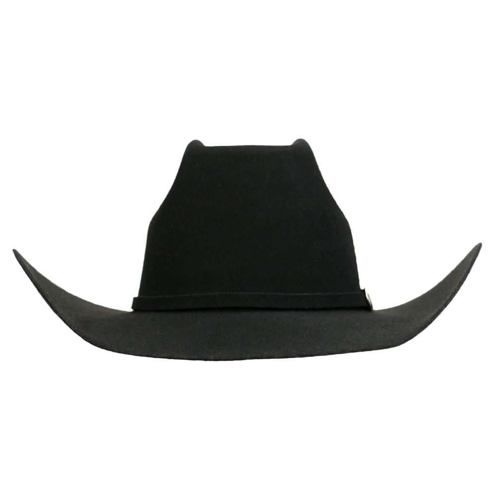 Ariat Mens 2X Felt Hat