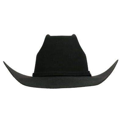 Ariat Mens 2X Felt Hat