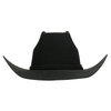 Ariat Mens 2X Felt Hat - A7520401