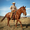 Ariat Mens Long Sleeve Western Shirt - 10000505