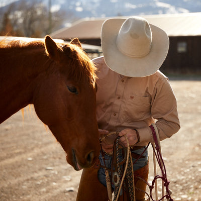 Ariat Mens Long Sleeve Western Shirt - 10000505