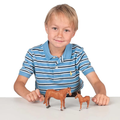 Big Country Farm Kids Quarter Horse Mare & Colt