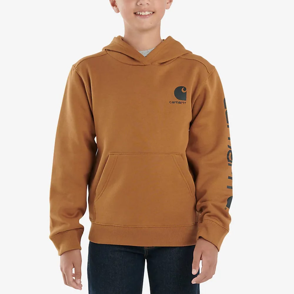 Carhartt Boys Graphic Logo Hoodie (Sizes S-XL)
