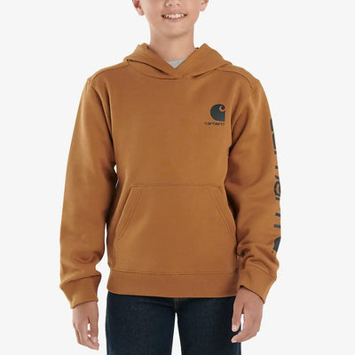 Carhartt Boys Graphic Logo Hoodie (Sizes S-XL)