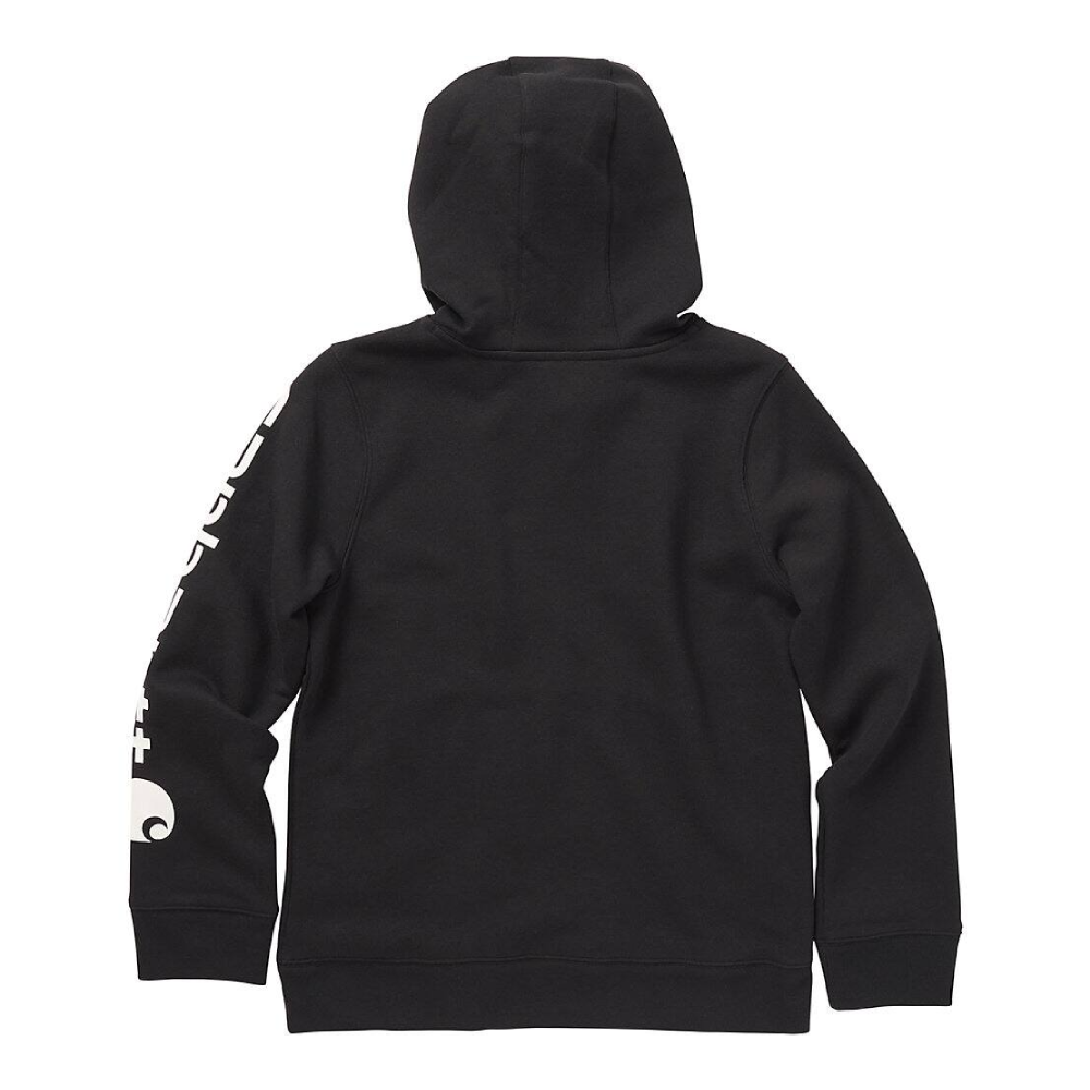 Carhartt Boys Graphic Logo Hoodie