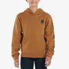 Carhartt Boys Graphic Logo Hoodie (Sizes S-XL) - CA6272-D15