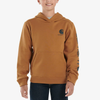 Carhartt Boys Graphic Logo Hoodie (Sizes S-XL) - CA6272-D15