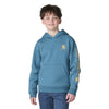 Carhartt Boys Long Sleeve Graphic Logo Hoodie Hydro - CA6908-HV2