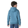 Carhartt Boys Long Sleeve Graphic Logo Hoodie Hydro - CA6908-HV2
