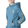 Carhartt Boys Long Sleeve Graphic Logo Hoodie Hydro - CA6908-HV2