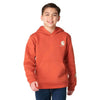 Carhartt Boys Long Sleeve Graphic Logo Sweatshirt Homestead Red - CA6908-RG0