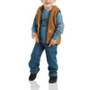 Carhartt Boys T-Shirt Sherpa Vest Denim Printed Set