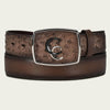 Cuadra Mens Ostrich Exotic Strip Belt Brown - BC321