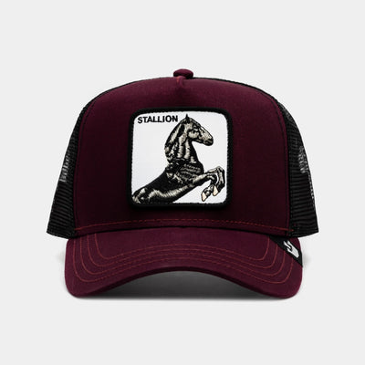 Goorin Bros Mens The Stallion Cap