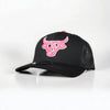 Lost Calf Mens Rosy Curve Cap Black - BLACKROSY-LCC