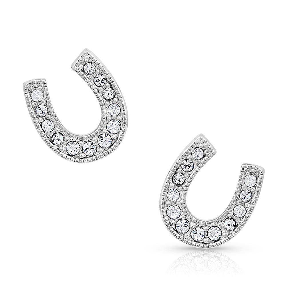 Montana Silversmiths Womens Earrings - ER808