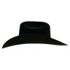 Resistol Mens 20X Black Gold Felt Hat