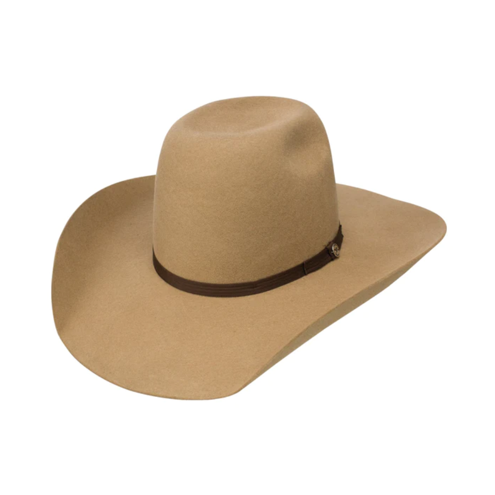 Resistol Mens 4X Day Money Felt Hat - RWHODM90-P5