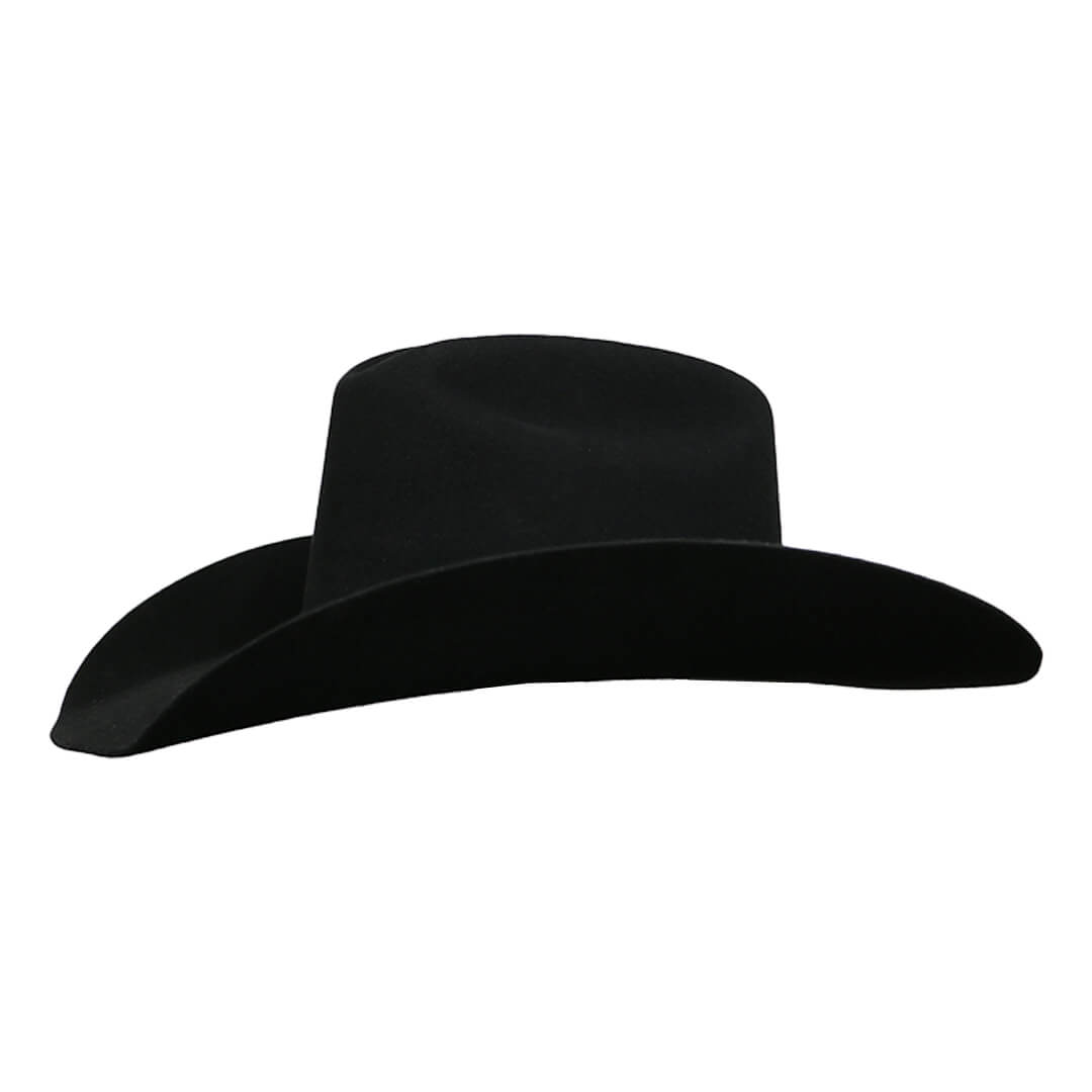 mens dumas felt hat