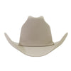 Stetson 100X El Presidente Felt Hat - Silverbelly - SFSRPS01-61