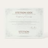 Stetson Mens 100X Golden Eagle 160th Edition Felt Hat Black