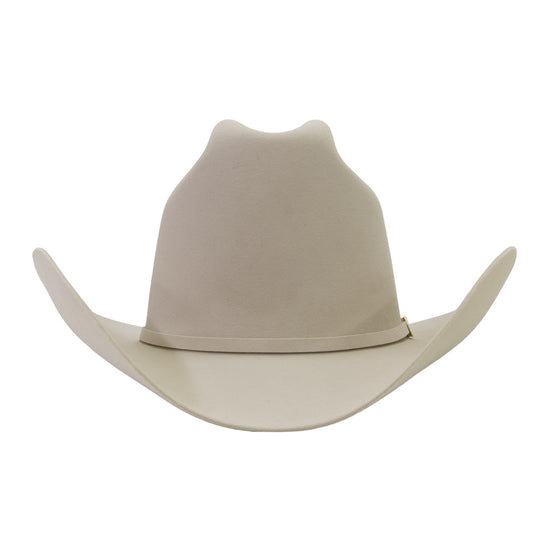 Stetson 100x silverbelly online