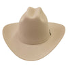 Stetson Mens 6X Premio Felt Hat - Silverbelly - SFPREM01-61
