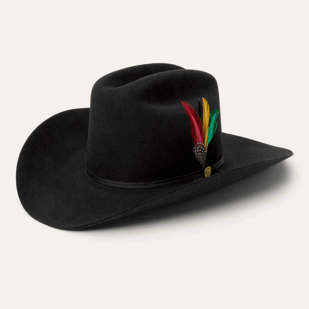 Stetson Mens 6X Rancher 160th Edition Felt Hat Black