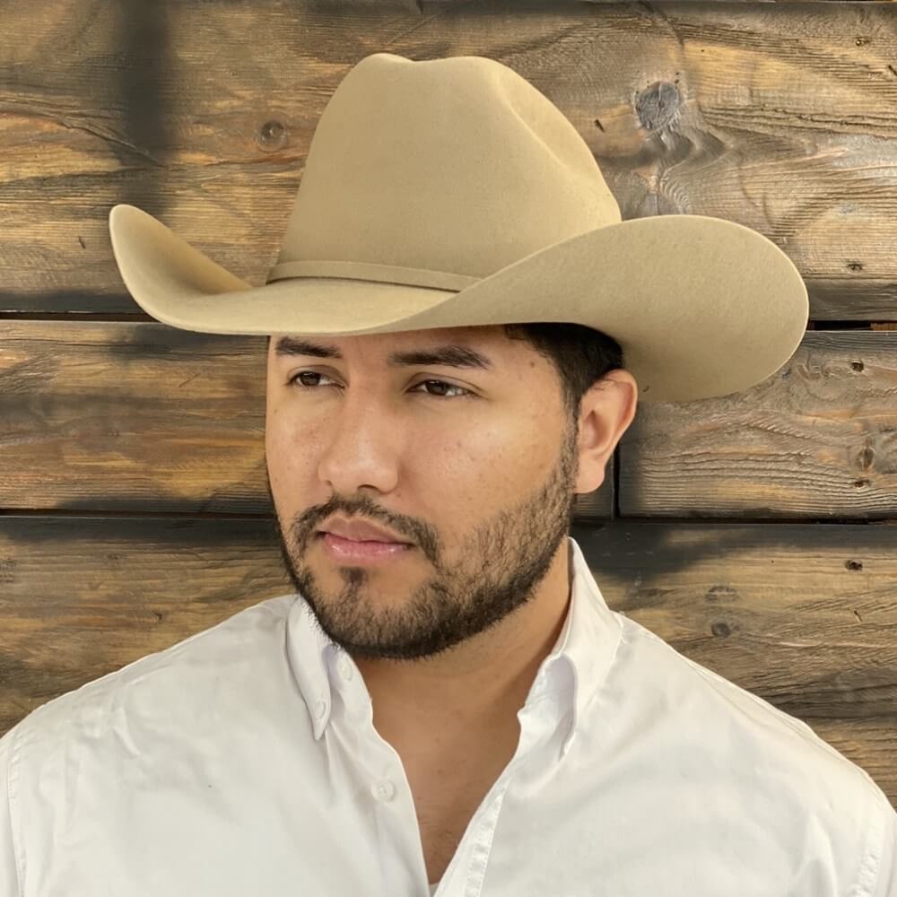 Stetson Mens 6X Skyline Felt Hat - Sahara - SFSKYL75-E5