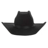 Twister Boys Black Wool Felt Hat