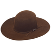 Twister Mens 6X Open Cord Felt Hat Brown - T7635802