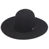 Twister Mens 6X Open Crown Felt Hat Black - T7636001