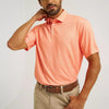 Wrangler Mens All Terrain Gear Performance Polo Shirt