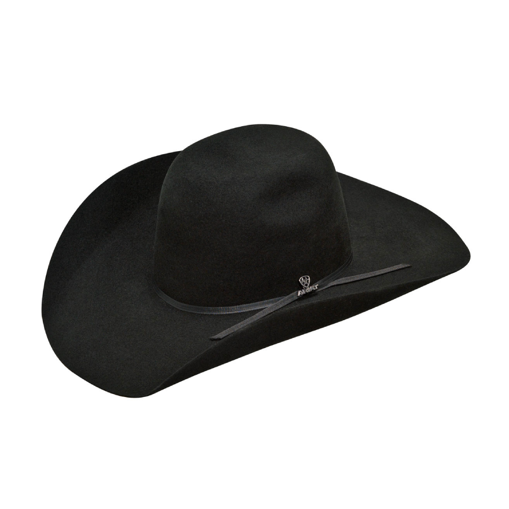 Ariat Mens 2X Felt Hat