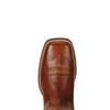Ariat Womens Remuda Boots